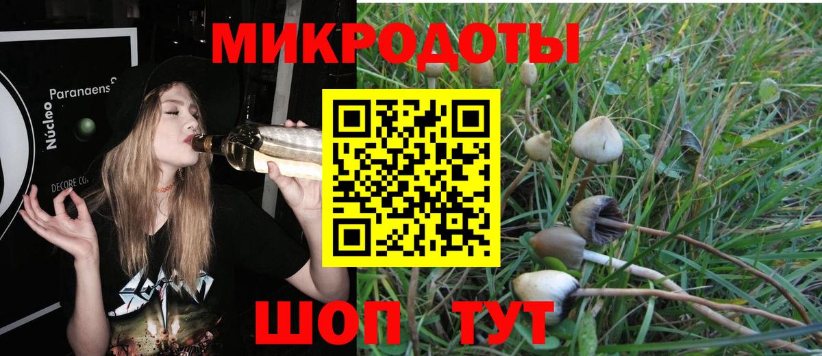 Псилоцибиновые грибы MAGIC MUSHROOMS  Вход с VPN  Псилоцибиновые грибы MAGIC MUSHROOMS  Каменск-Шахтинский 