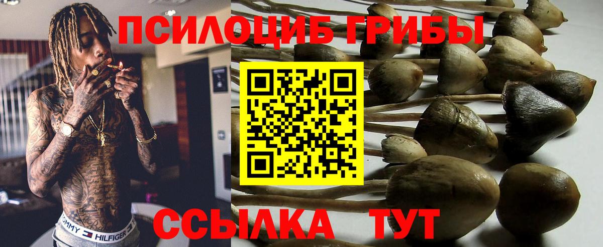 Псилоцибиновые грибы мицелий Каменск-Шахтинский
